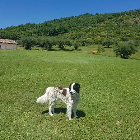 Al Pian Delle Case Tatil Evi Gubbio