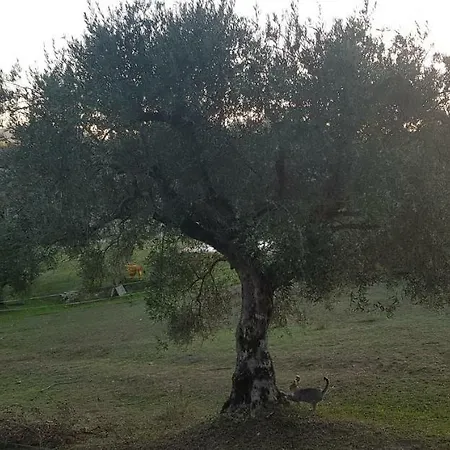 Al Pian Delle Case Gubbio