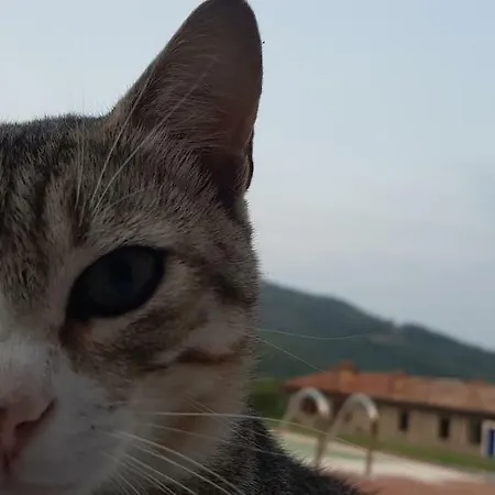 Tatil Evi Al Pian Delle Case