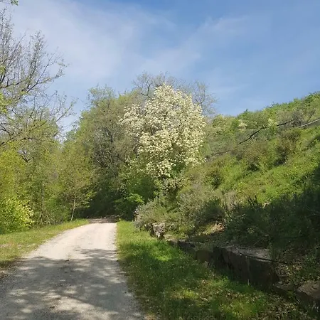Al Pian Delle Case * Gubbio