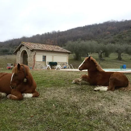 Tatil Evi Al Pian Delle Case