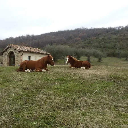 Al Pian Delle Case * Gubbio